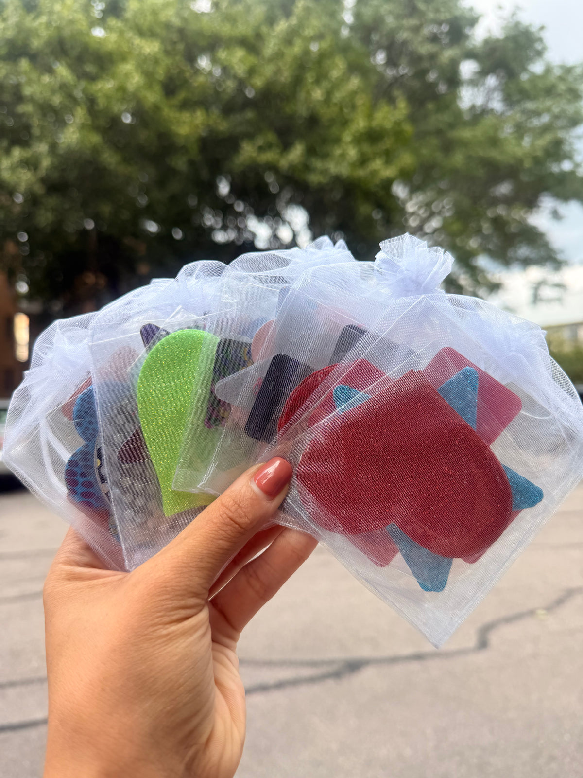 Pasties Bags