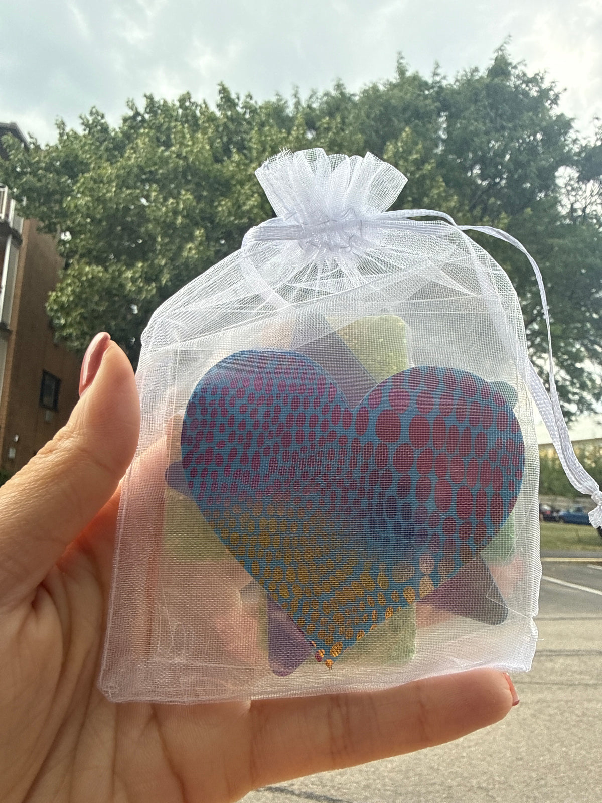 Pasties Bags