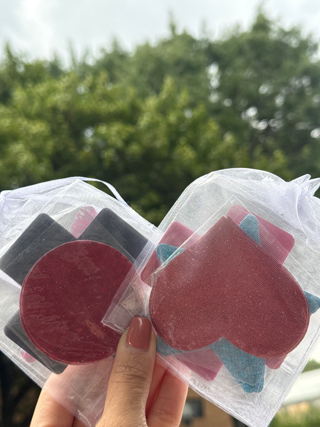 Pasties Bags